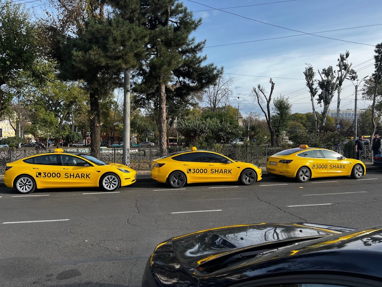 SHARK has launched a fleet of Tesla taxis in Odesa: details of the first trips